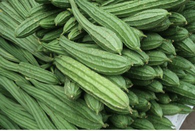 Taroi [Ridge Gourd]