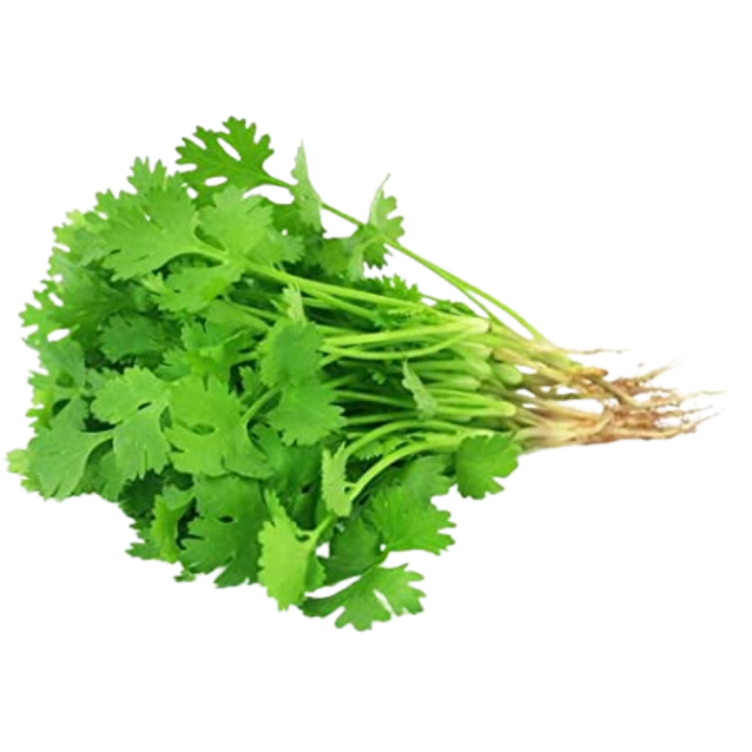 Dhaniya [Coriander]