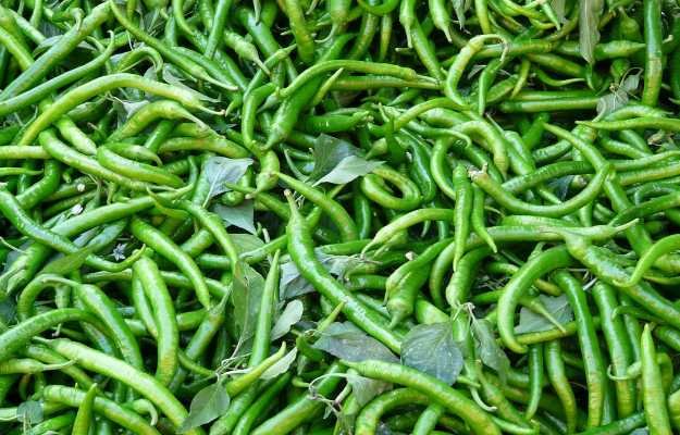Hari mirch [Green chilli]