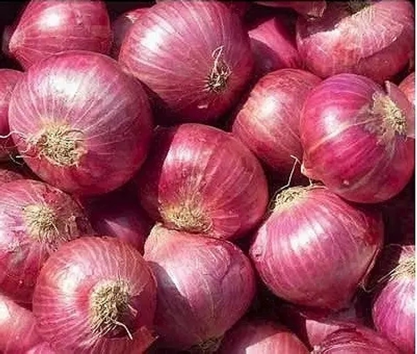Pyaz [Onion]