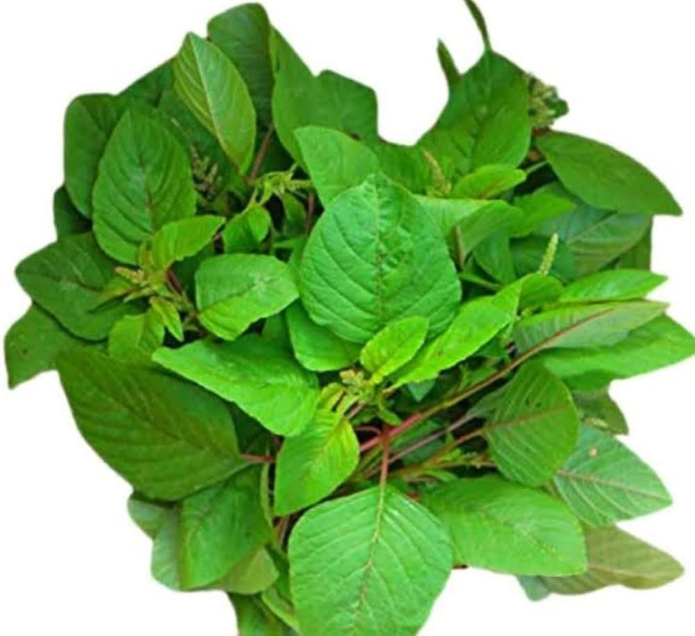 Green Chaulai [Saag]