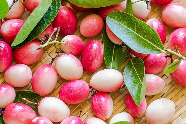 Karunda [Carandas plum]